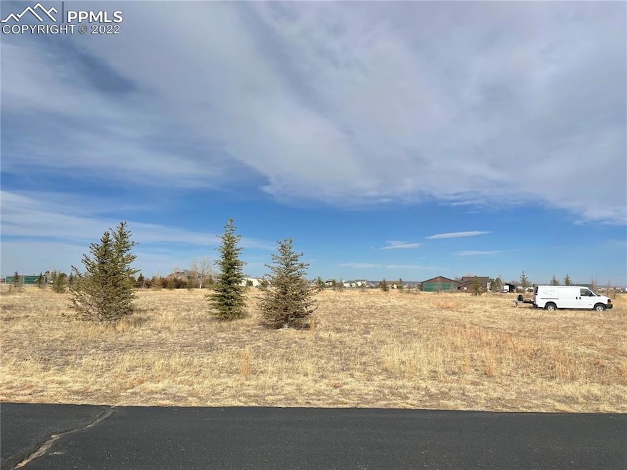 8213 Airpark Heights, Peyton, CO 80831 - photo 1