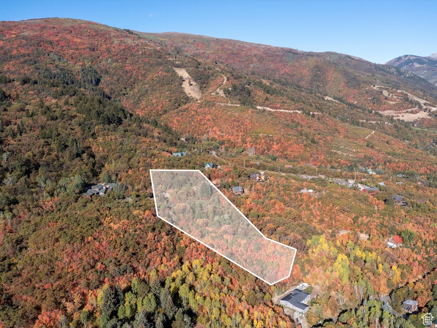 Aerial overview of property's location featuring property parcel outlined and a heavily wooded area