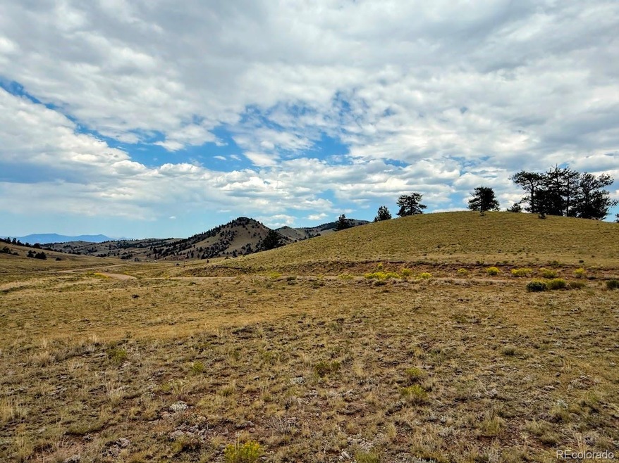 0 Cherokee Trail unit REC6368935, Hartsel, CO 80449 - photo 1