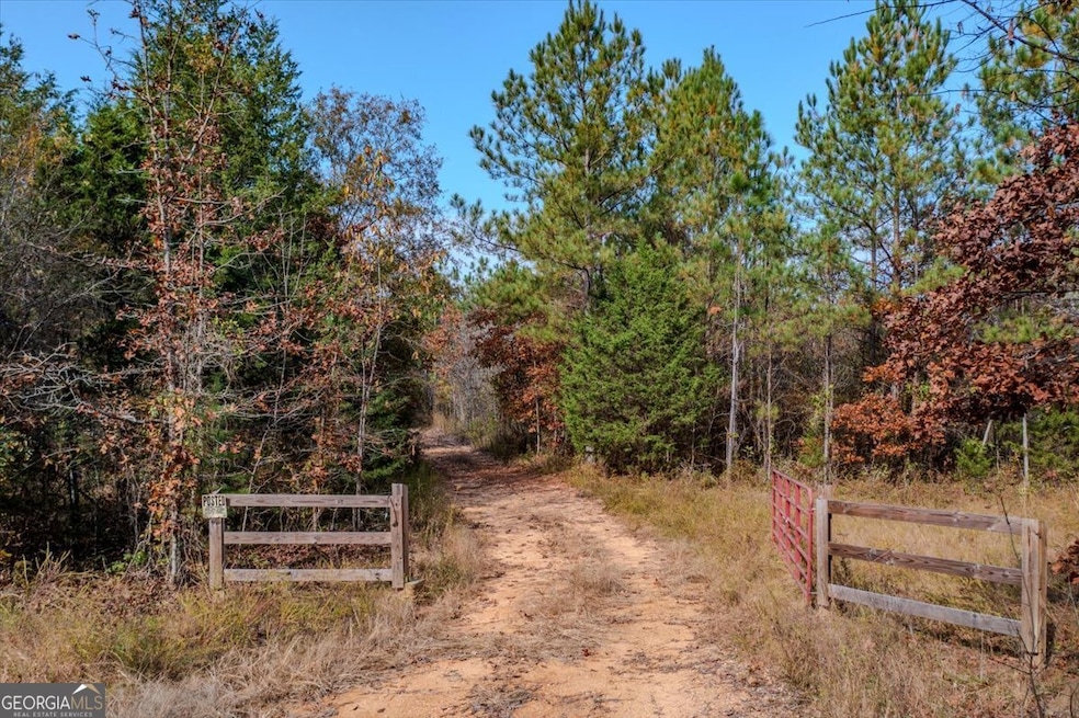 #46 Owens Dairy Rd, Lyerly, GA 30730 - photo 1