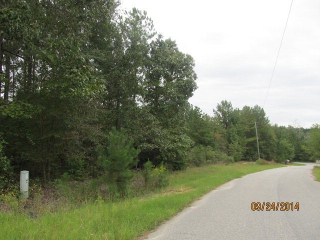 / Spring Valley Dr unit 75, Byron, GA 31008 - photo 1