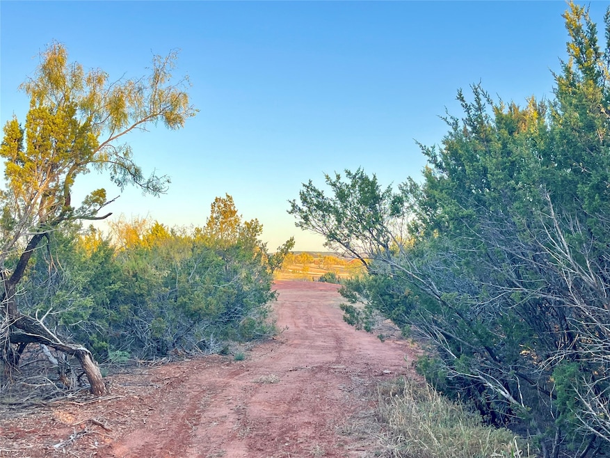 482 County Road 151, Tuscola, TX 79562 - photo 1