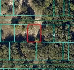 TBD NW 14th Place, Ocala, FL 34482 - photo 1