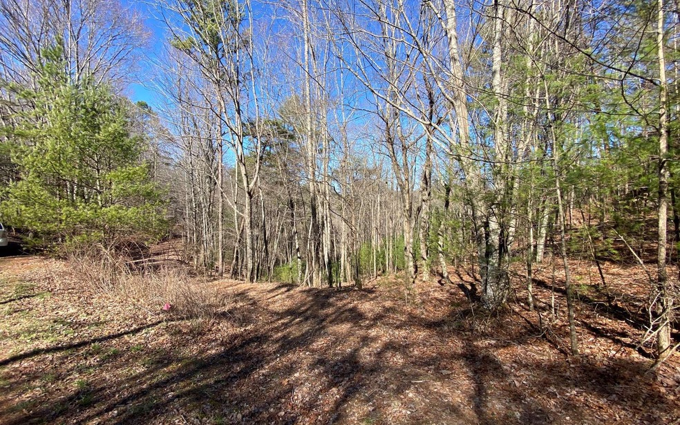 L2&3 My Mountain Rd, Morganton, GA 30560 - photo 1