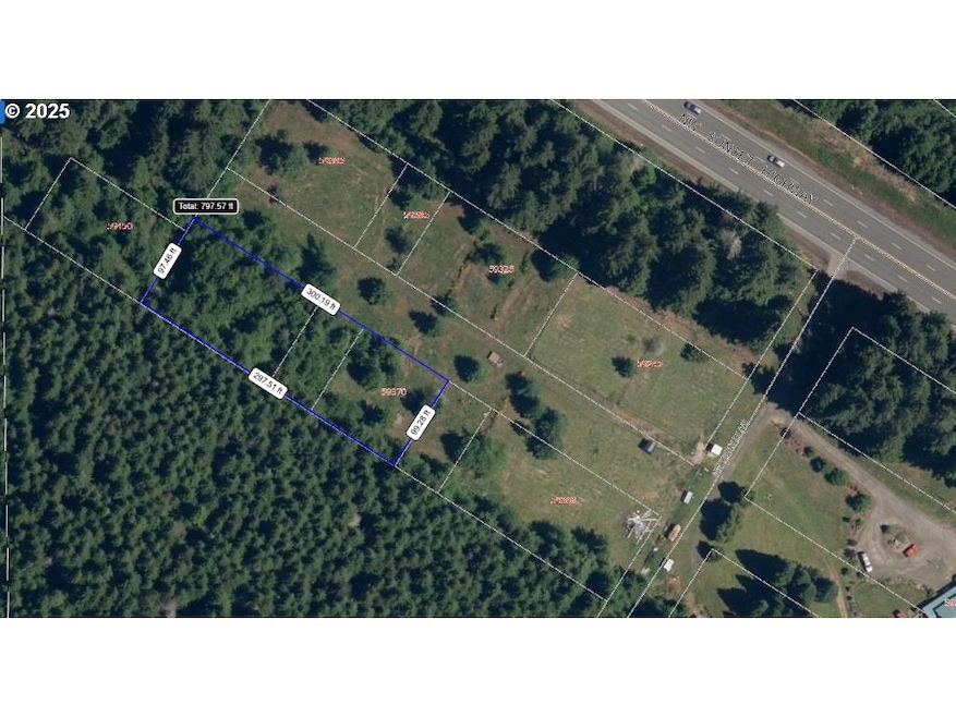 59370 NW Broad Way, Timber, OR 97144 - photo 1