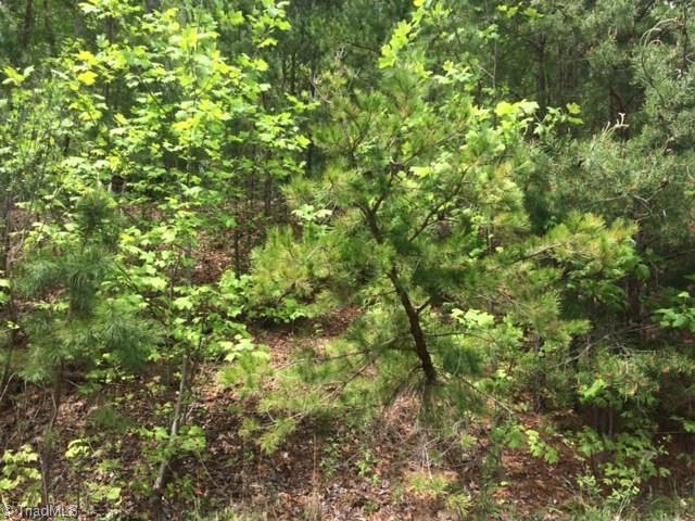 0 Northmont Lake Dr unit 64 885266, Asheboro, NC 27205 - photo 1