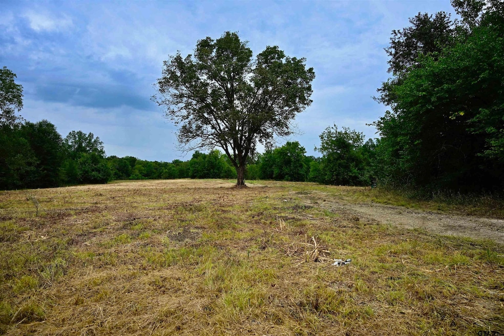 TBD W Fm 71, Talco, TX 75487 - photo 1