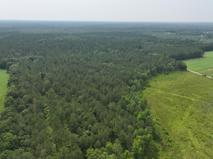 0 Mississippi 46 unit 25-1215, Mantee, MS 39751 - photo 1