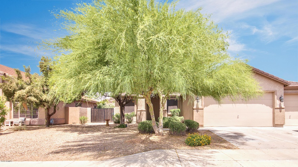 11066 E Cholla Rd, Mesa, AZ 85207 - photo 1