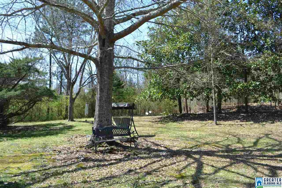 10066 Mize Rd, Remlap, AL 35133 - photo 1