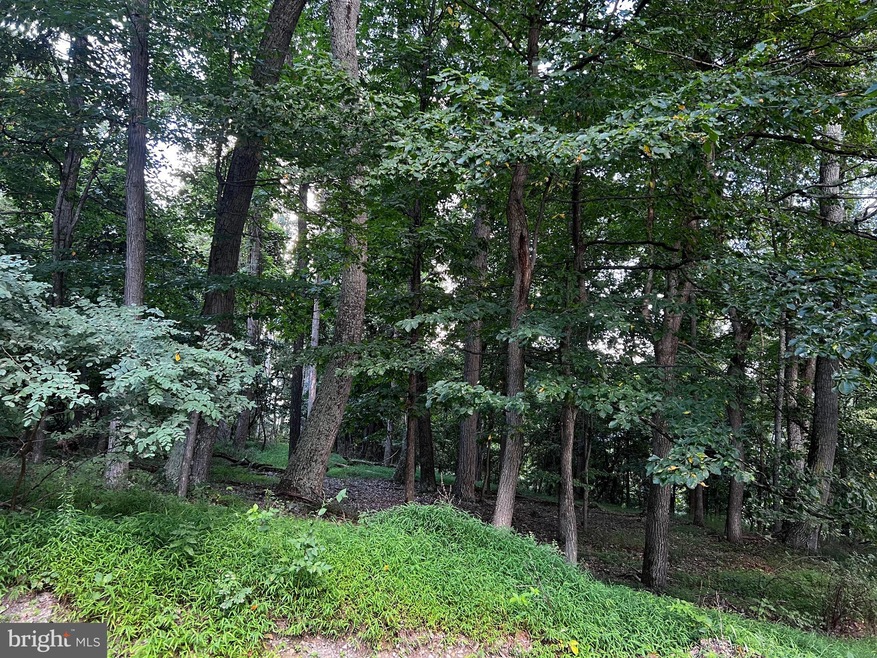 40 High Knob, Old Fields, WV 26845 - photo 1