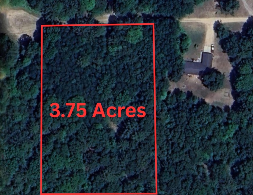 3.75 Acres Wayne Rd, Pentwater, MI 49449 - photo 1