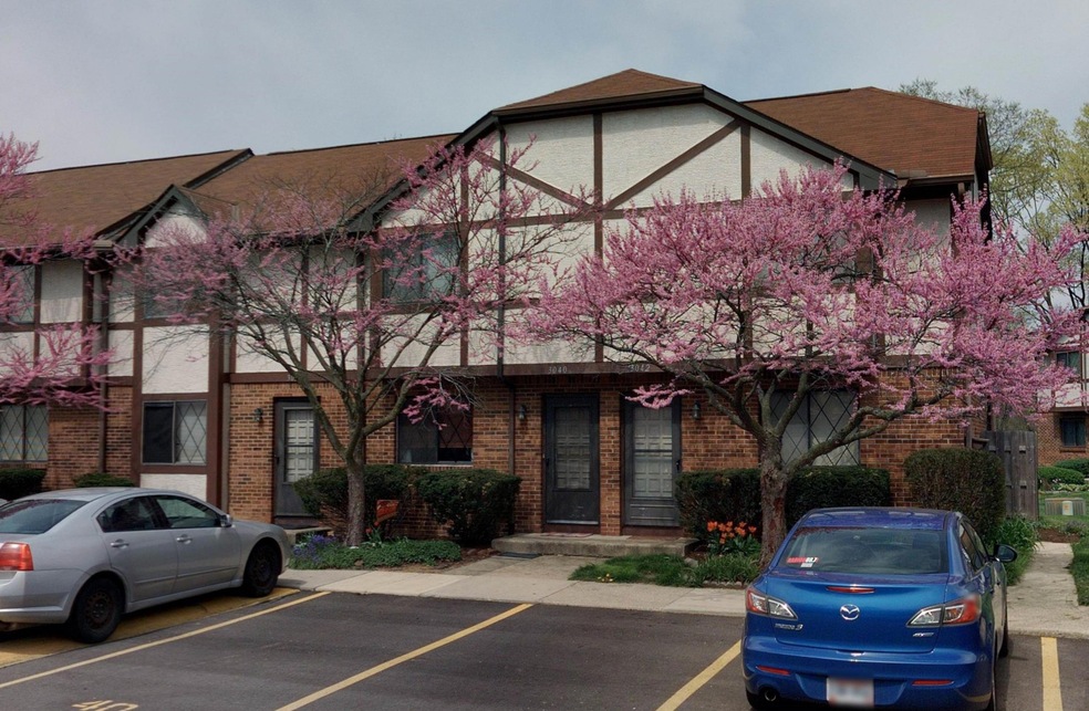 Auditor exterior
