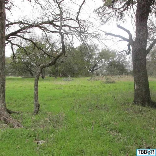 143 Deer Run, Moody, TX 76557 - photo 1