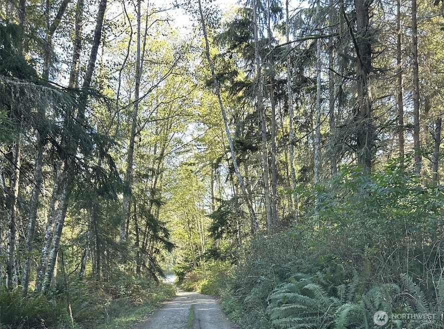 0 Forest View Ln, Greenbank, WA 98253 - photo 1