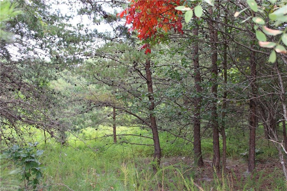 00 Ralph Joyce Rd, Sandy Ridge, NC 27046 - photo 1