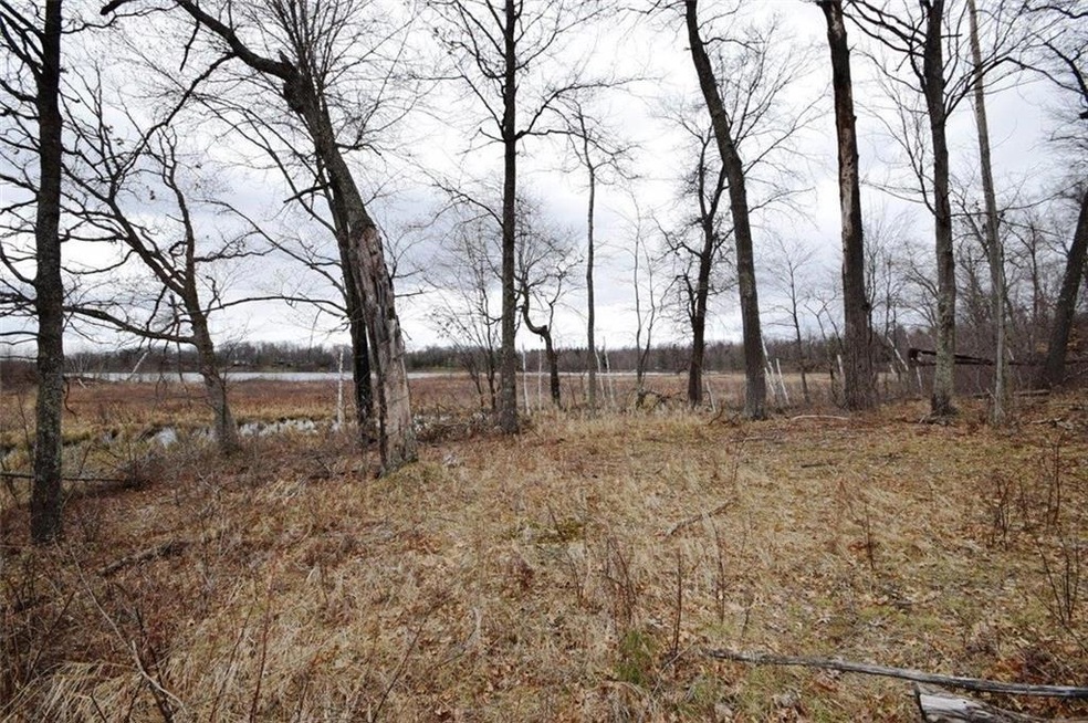 28402 King Arthur's Ct, Danbury, WI 54830 - photo 1