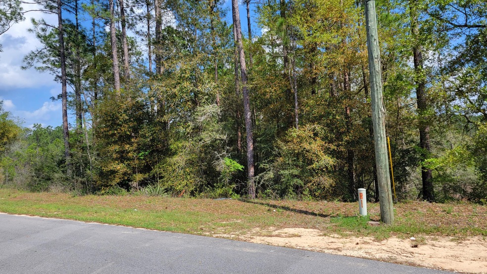Wooded Lot 0.25 acres