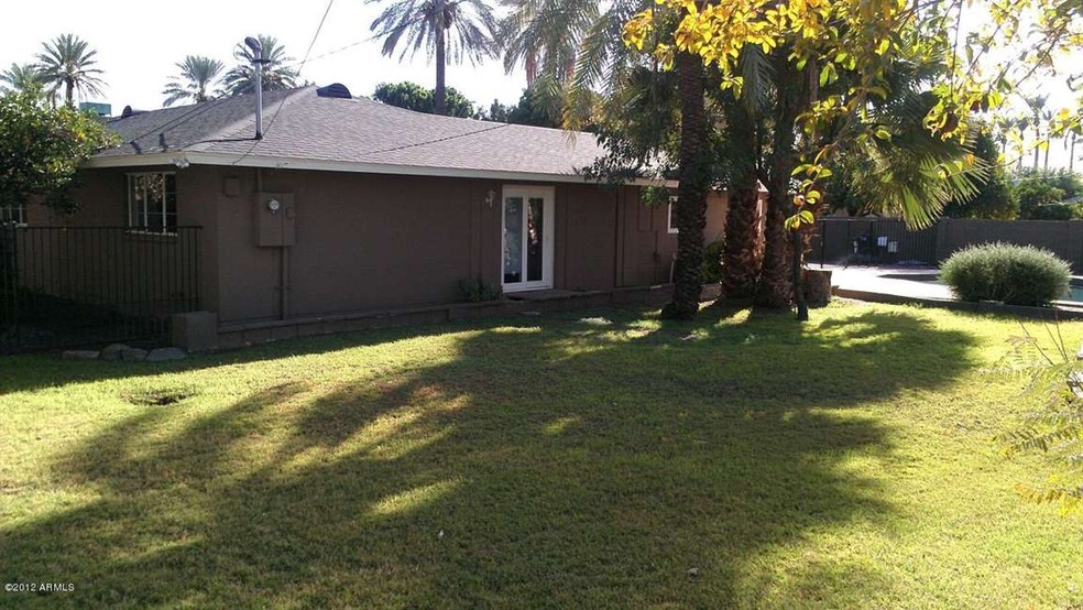 Backyard 3