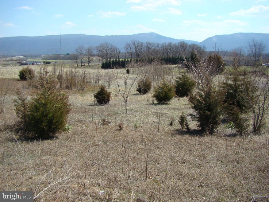 0 Ox Rd S unit 1003422178, Edinburg, VA 22824 - photo 1