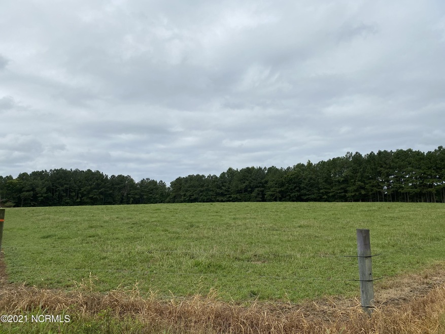 1069 Reed Rd, Castalia, NC 27816 - photo 1