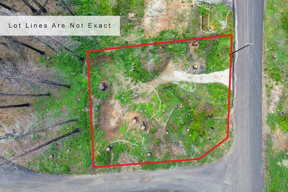 5136 Evergreen, Grizzly Flats, CA 95636 - photo 1