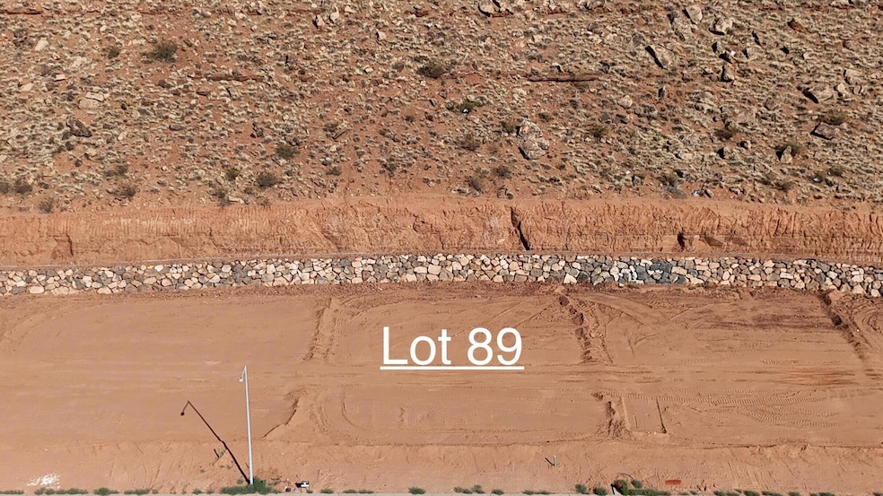 Lot 89