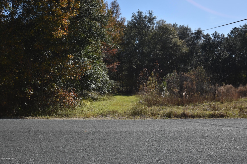 56370 Nassau Oaks Dr, Callahan, FL 32011 - photo 1