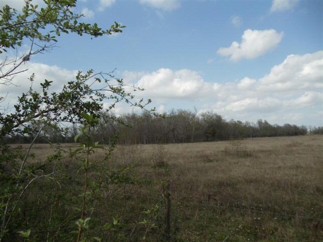 0 County Road 98 unit 52315, Manvel, TX 77511 - photo 1
