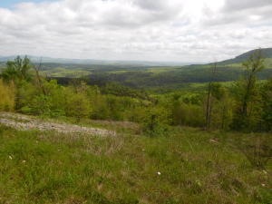 from Hwy 7