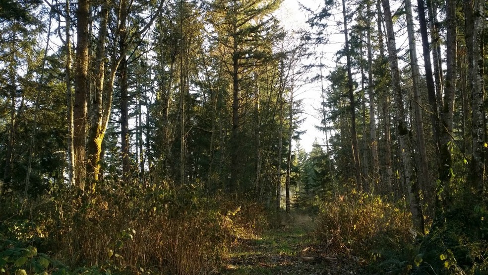 104 SE 288th St, Graham, WA 98338 - photo 1