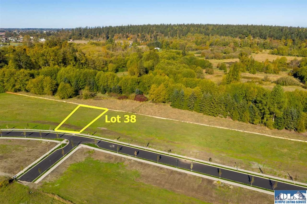 421 Broadmoor St, Sequim, WA 98382 - photo 1