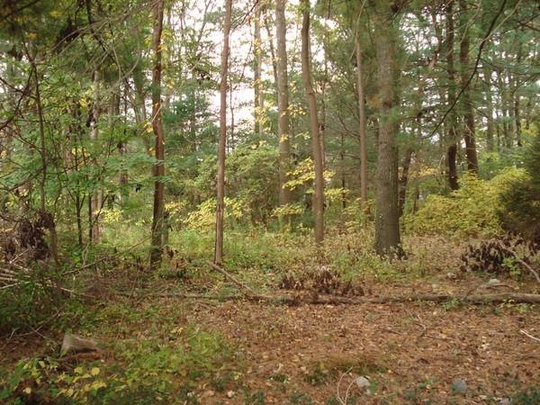 31 Lawson Rd, Scituate, MA 02066 - photo 1