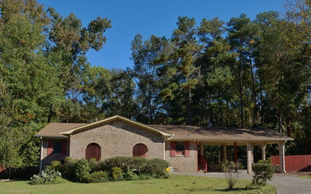 Main View