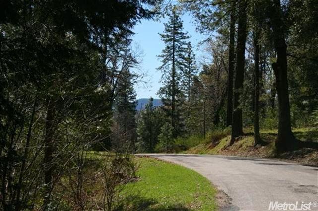 Red Dog Rd at 16346 Red Dog Rd