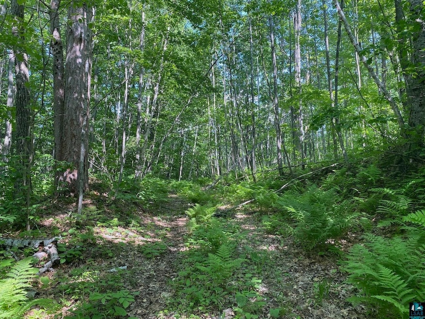 View of nature