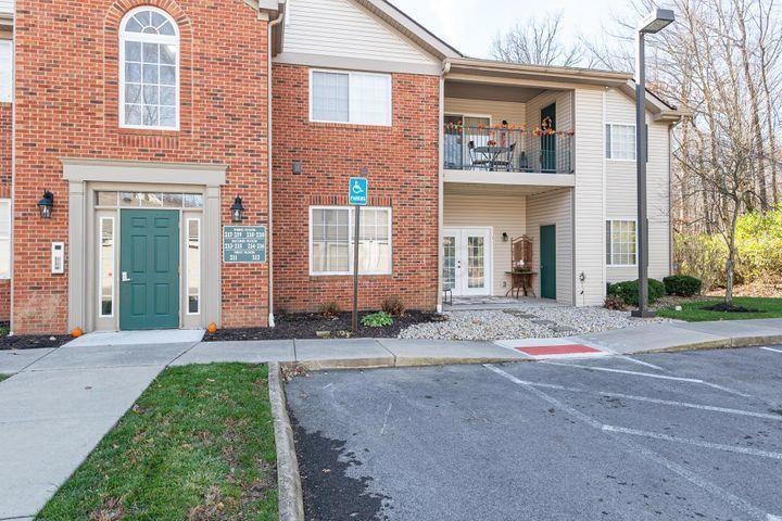 213 Shelbourne Forest