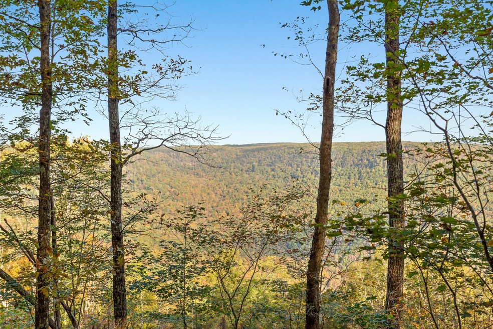 0 High Point Ln unit 1326155, Jasper, TN 37347 - photo 1