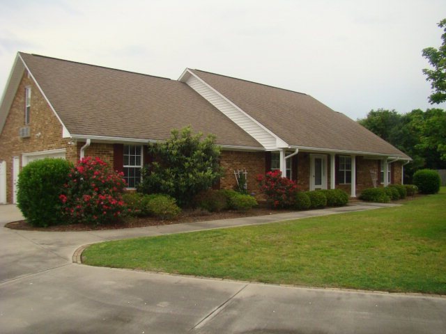 Main View
