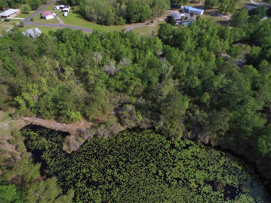 Lot 3 Three Sisters Rd, Crawfordville, FL 32327 - photo 1