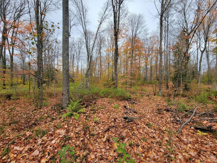 ON Cth A unit Lot 2, Deerbrook, WI 54424 - photo 1