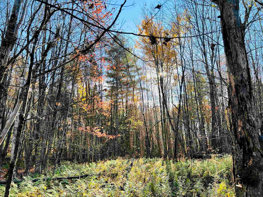 00 Vista, Lyndon, VT 05851 - photo 1