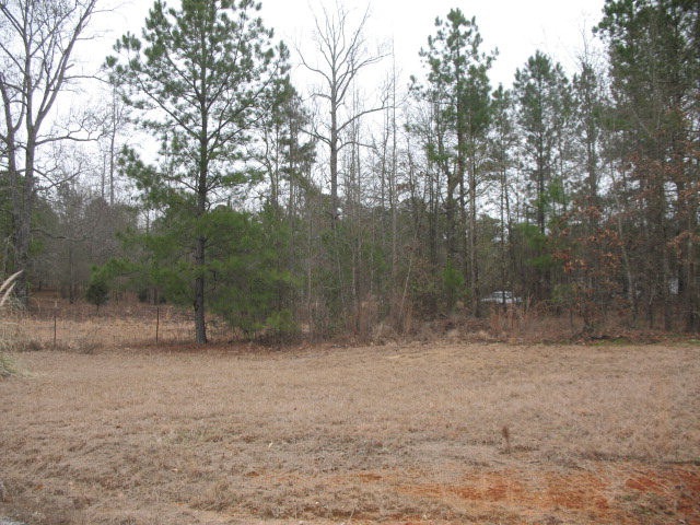 613 Byrd Dr, Harlem, GA 30814 - photo 1