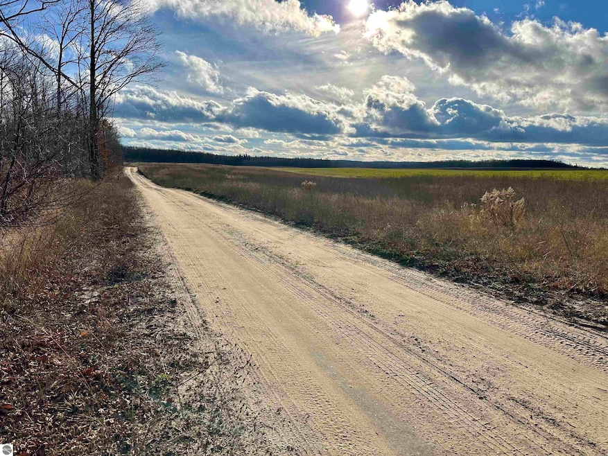 TBD Blackberry Ln, Star Township, MI 49730 - photo 1