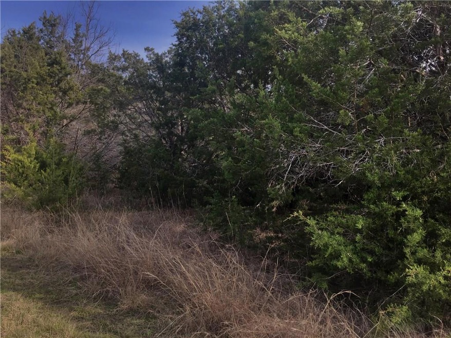 33035 Woodcrest Dr, Whitney, TX 76692 - photo 1