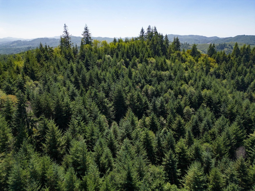 Timber on property Oregon Upstream Timbe
