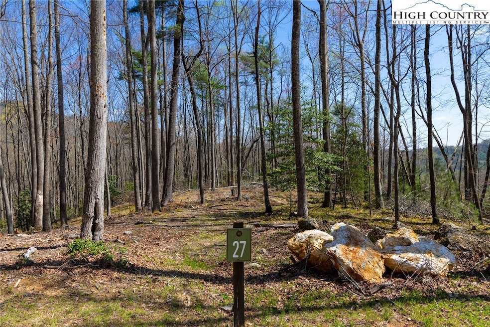 27 Wilderness Reserve Pkwy, Deep Gap, NC 28618 - photo 1