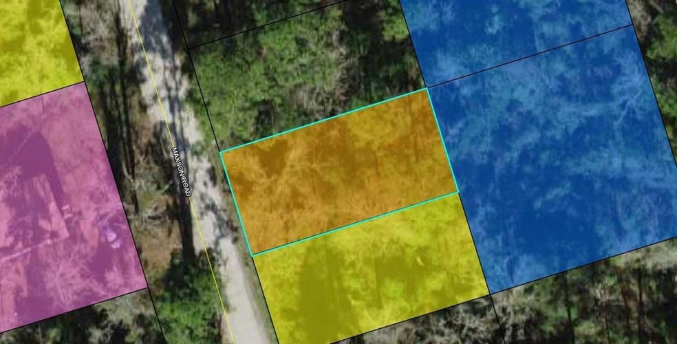 Lot 22 Maxson Rd, Crawfordville, FL 32327 - photo 1