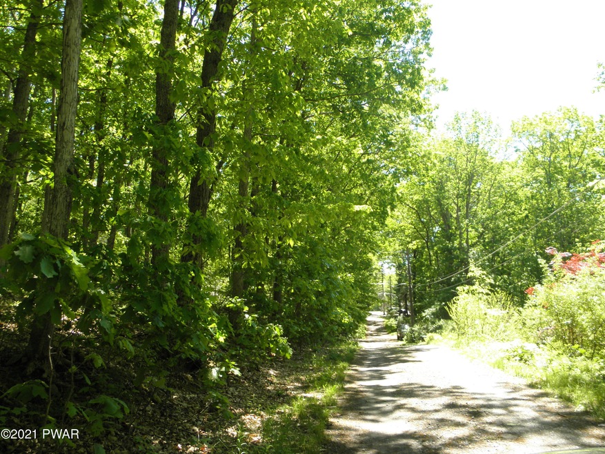 0 3 Rd Road Lake Rd unit PWB211844, Hawley, PA 18428 - photo 1