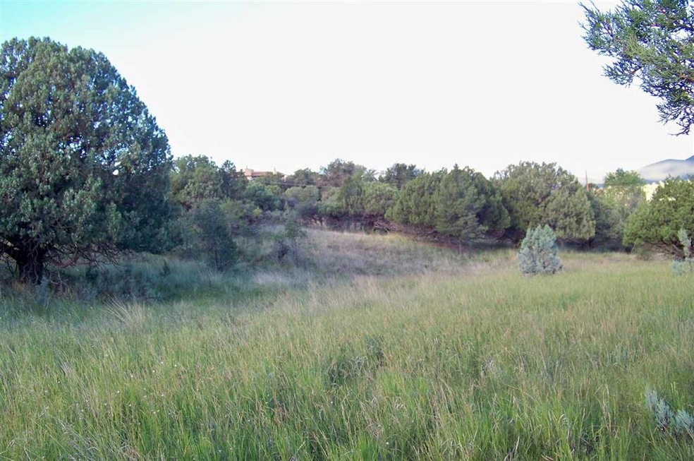 xx Arrowhead Rd, Silver City, NM 88061 - photo 1